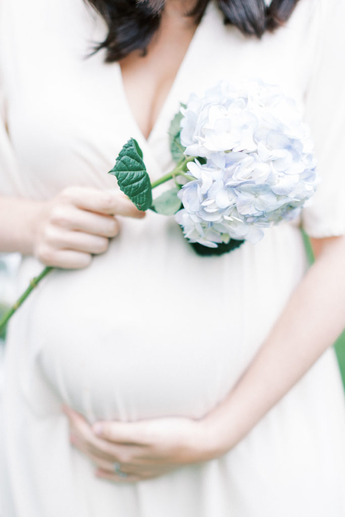 A Pregnant Woman Holding Her Belly And A Hydrangea In A Northern Virginia Maternity Session.