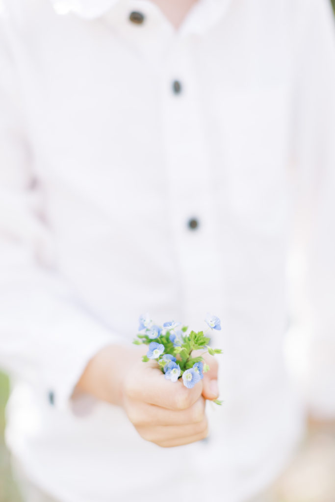 A Little Boy Holds Up Little Blue Flowers During A Photography Session In Maryland.