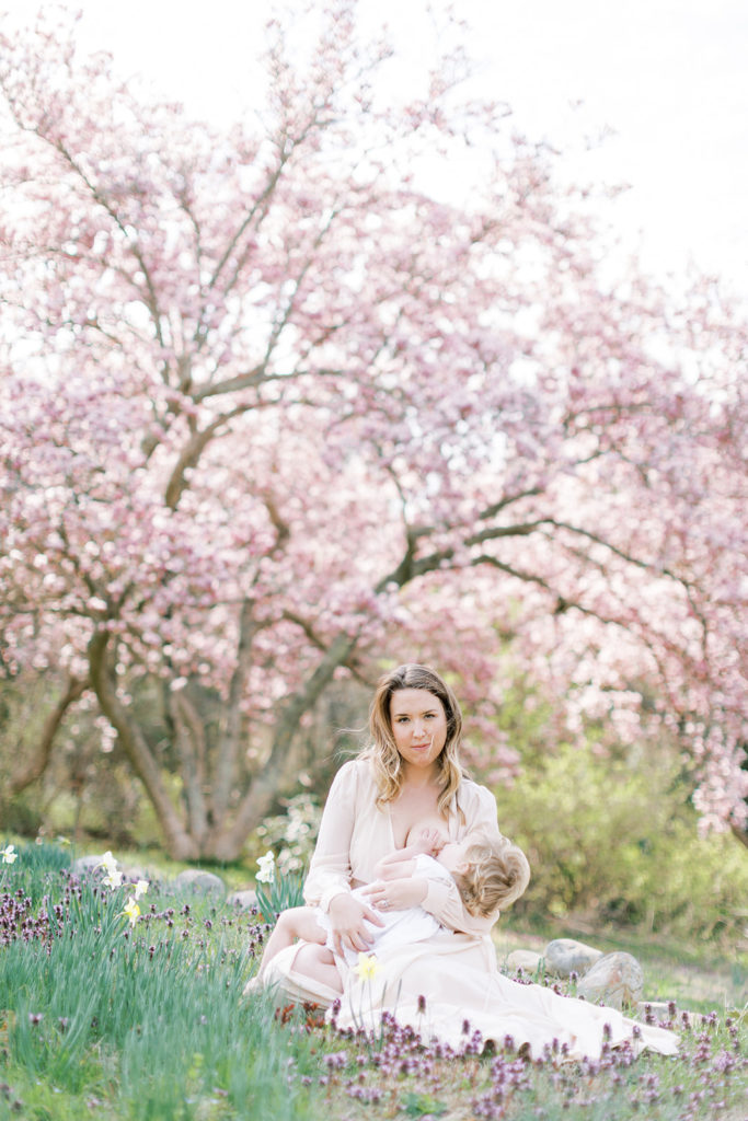 Mother Breastfeeding In A Field Of Flowers.