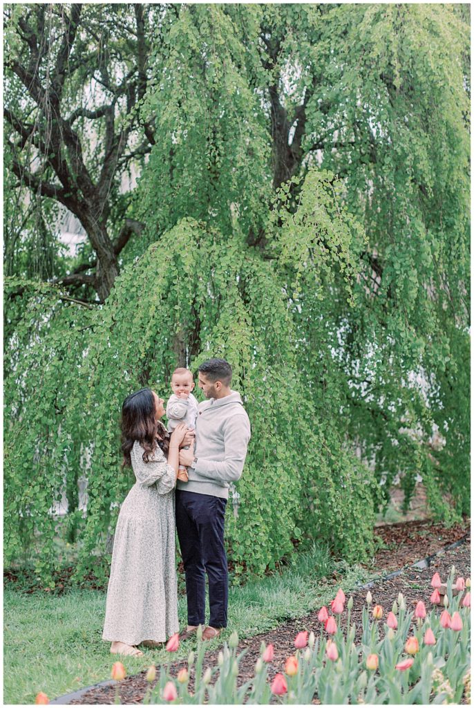 Brookside Gardens Tulips And Young Family Photo Session