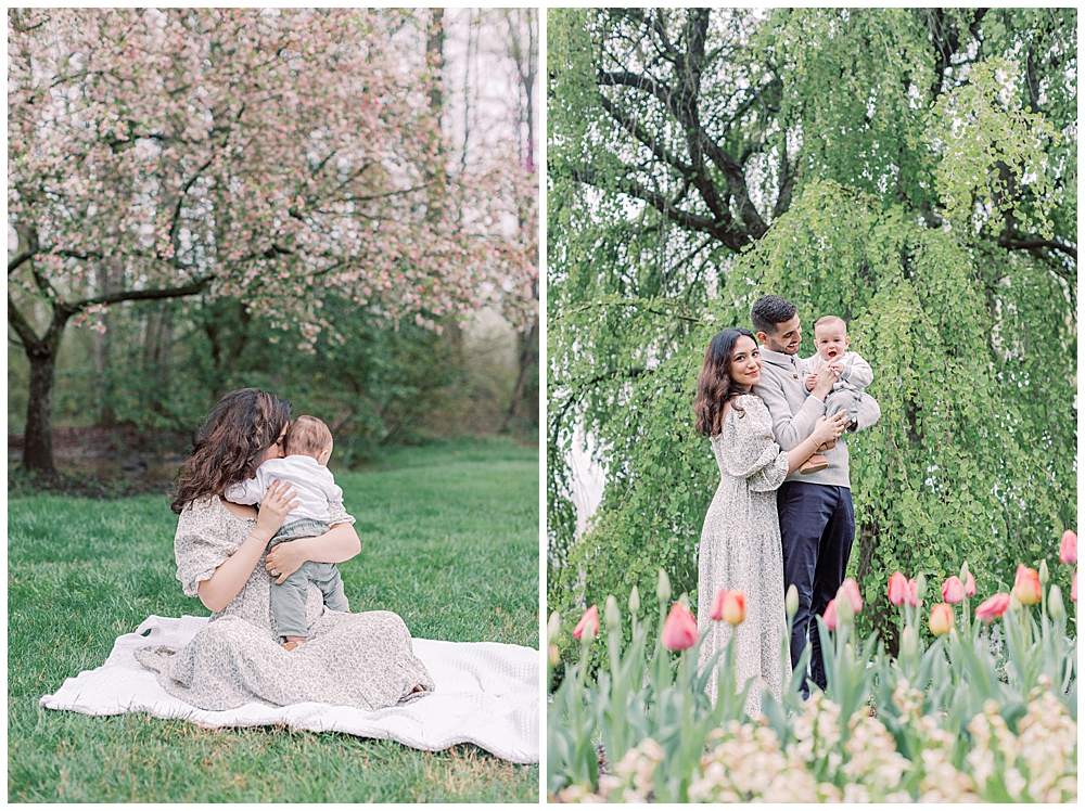 Brookside Gardens Cherry Blossoms And Tulips With Young Family During Photo Session