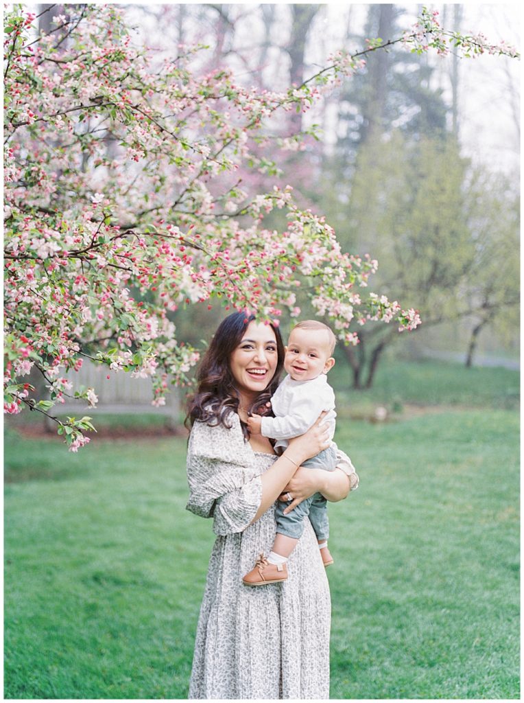 Mother Holding Her Young Son By A Cherry Blossom In Brookside Gardens In Montgomery County.