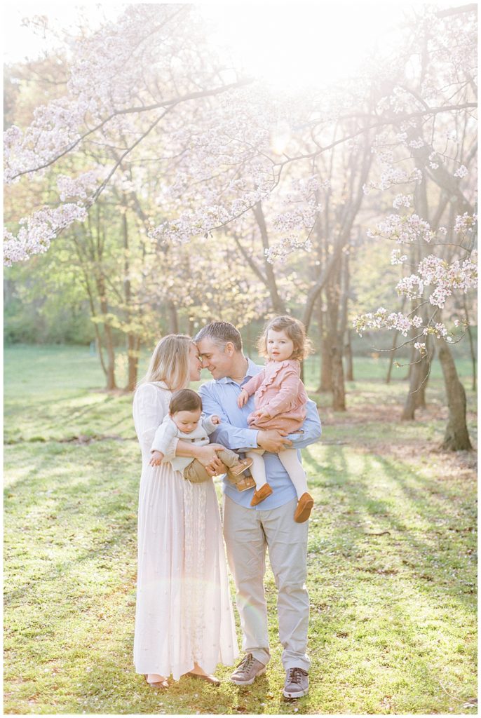 Mother And Father Lean In Towards Each Other While Holding Their Two Children At The Cherry Blossoms At The National Arboretum In Washington Dc