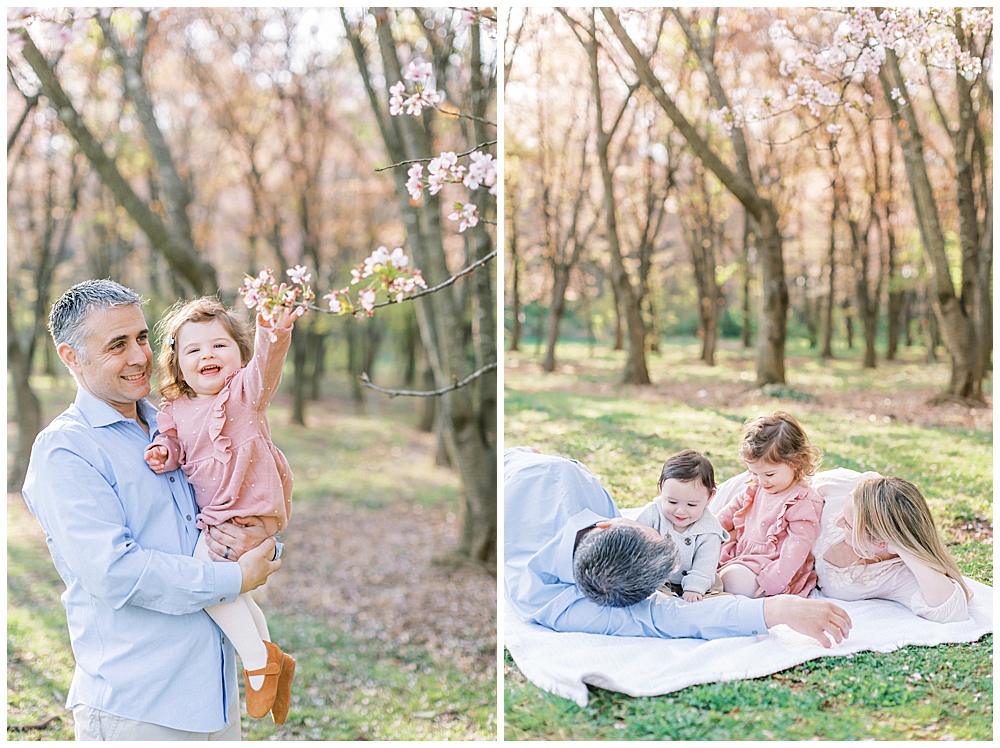 Daughter Reaches For The Cherry Blossoms During A Dc Family Session At The National Arboretum