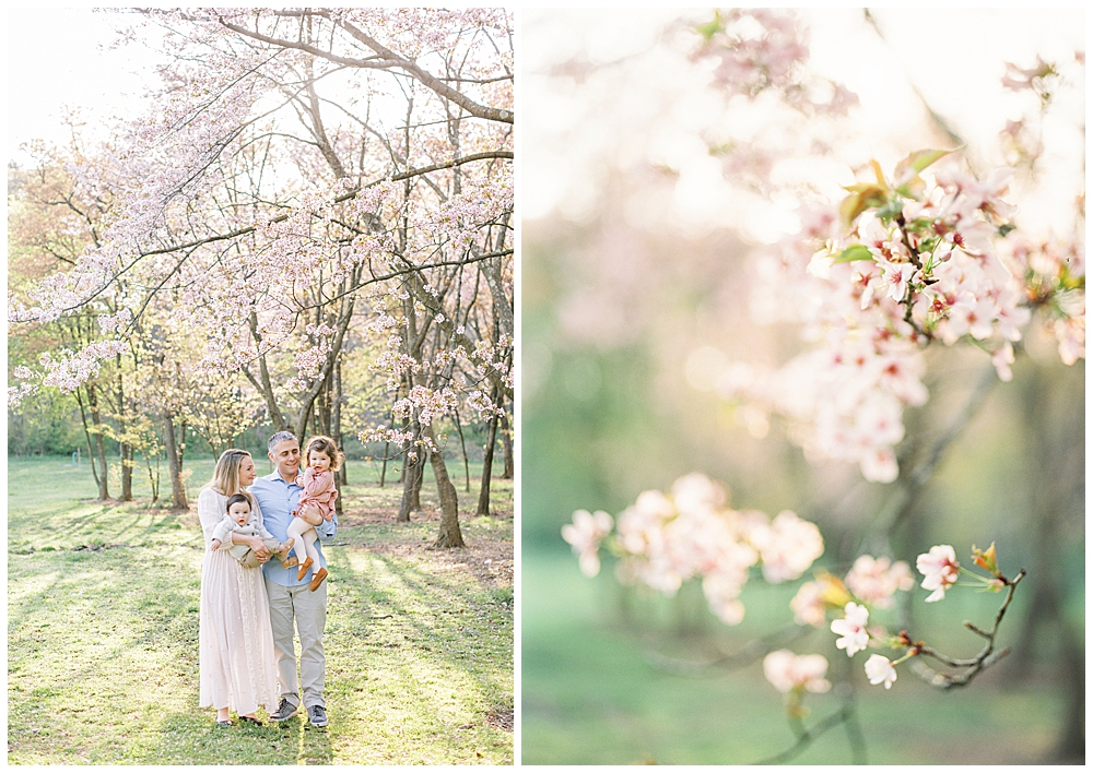 Family Photographer Dc | Family Stands Together At The Cherry Blossoms At The National Arboretum