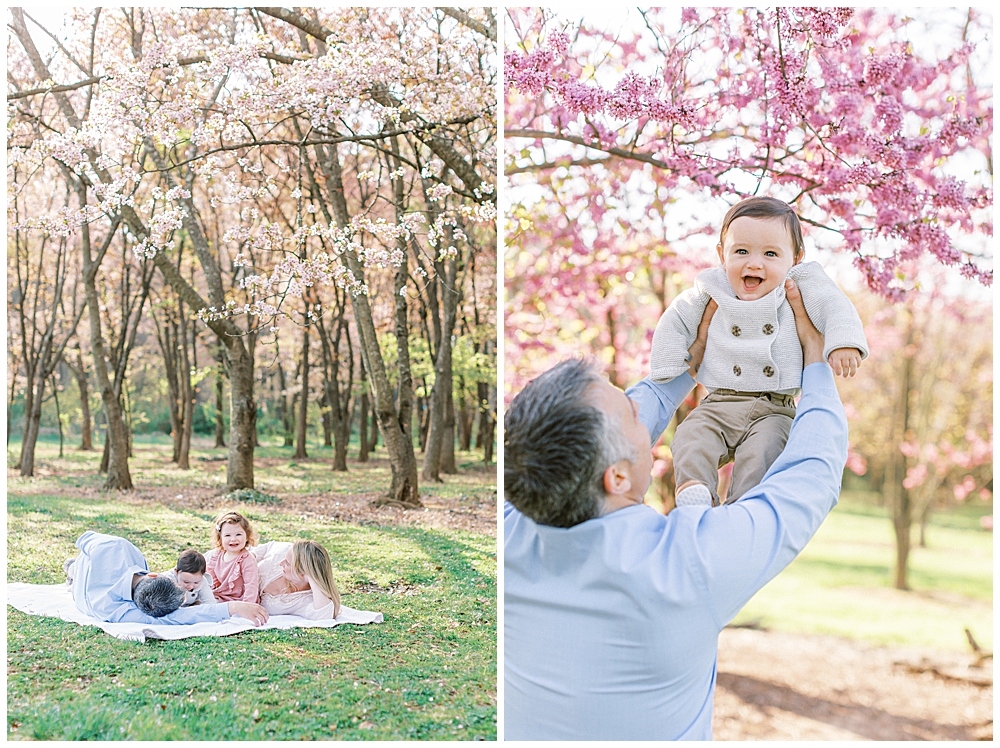 National Arboretum Cherry Blossoms Family Session