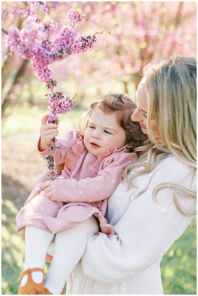 Mother Holds Daughter Up To Cherry Blossoms In Dc