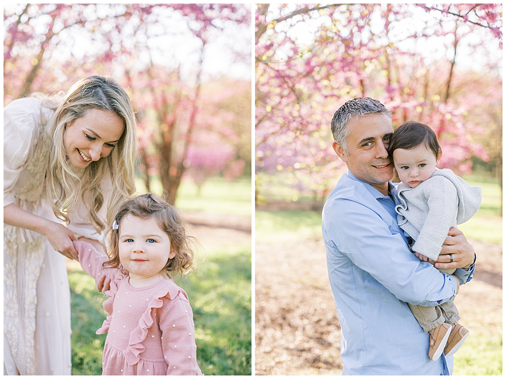 Mother, Daughter, Father, And Son Stand Near The Cherry Blossom Trees At The National Arboretum