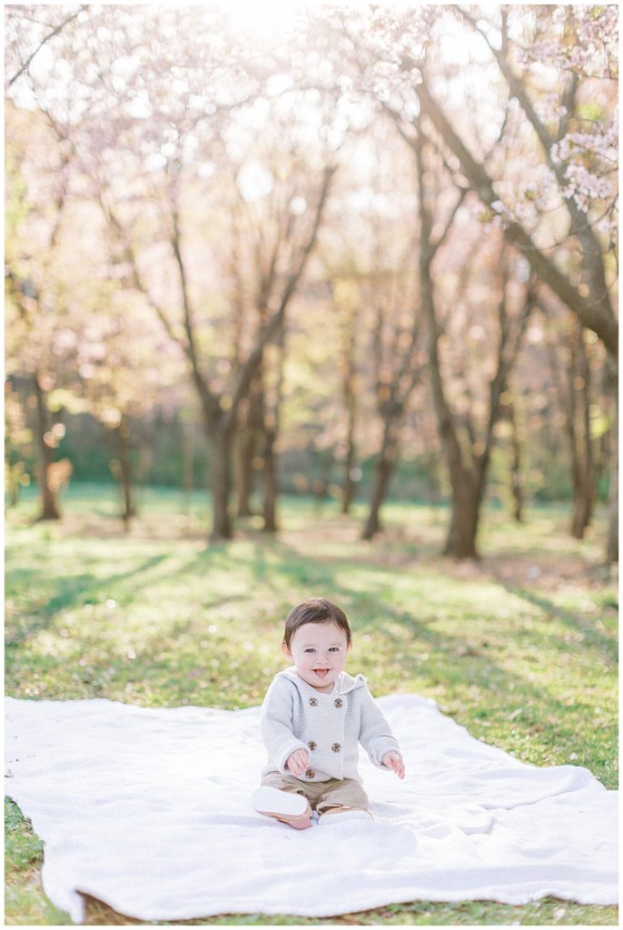 Little Boy Sits On A Blanket By The Cherry Blossom Trees At The National Arboretum