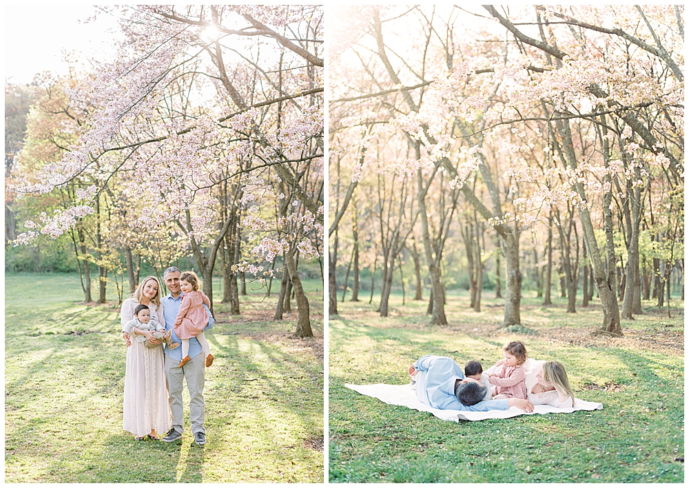 Washington, D.c. National Arboretum Family Session By The Cherry Trees