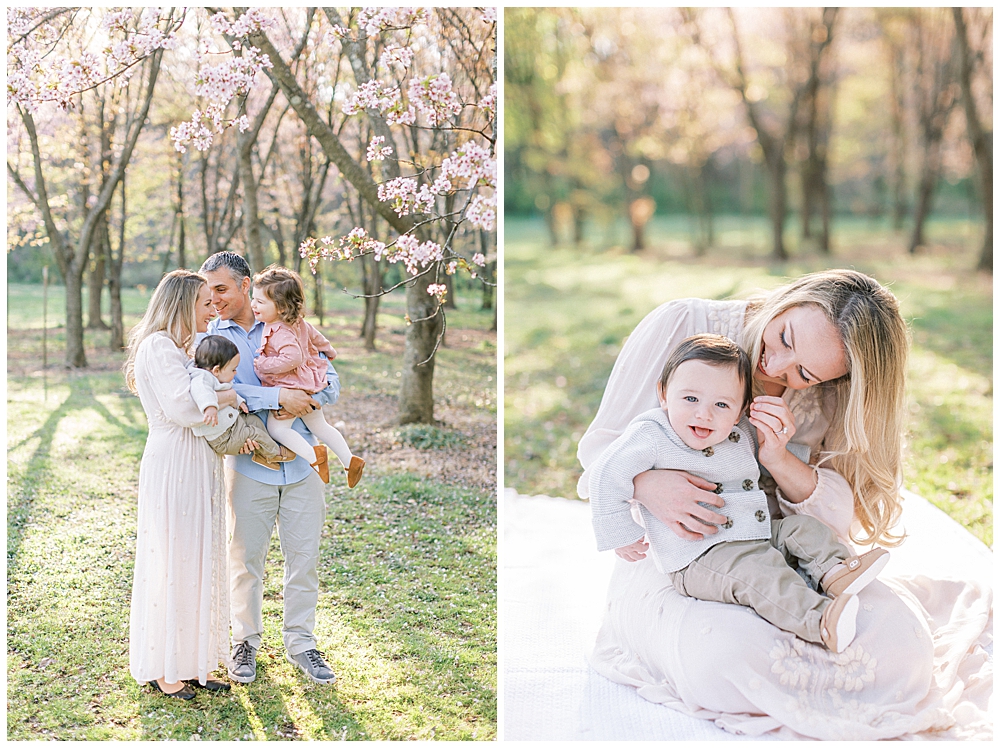 Cherry Blossom Family Session In Washington, D.c. At The National Arboretum