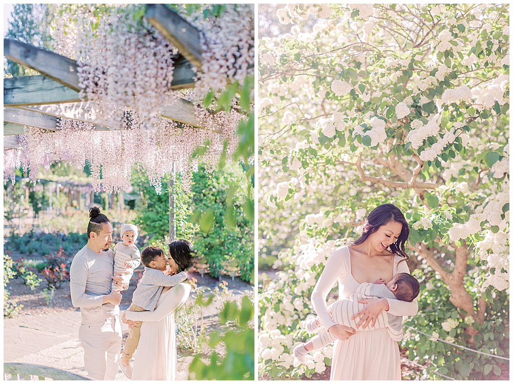 Family Photographer In Dc | Family Stands Near Flowers In Brookside Gardens