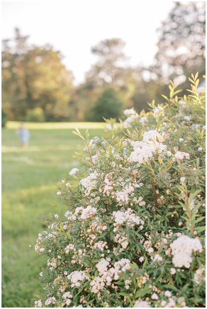 Little Girl Runs In A Field