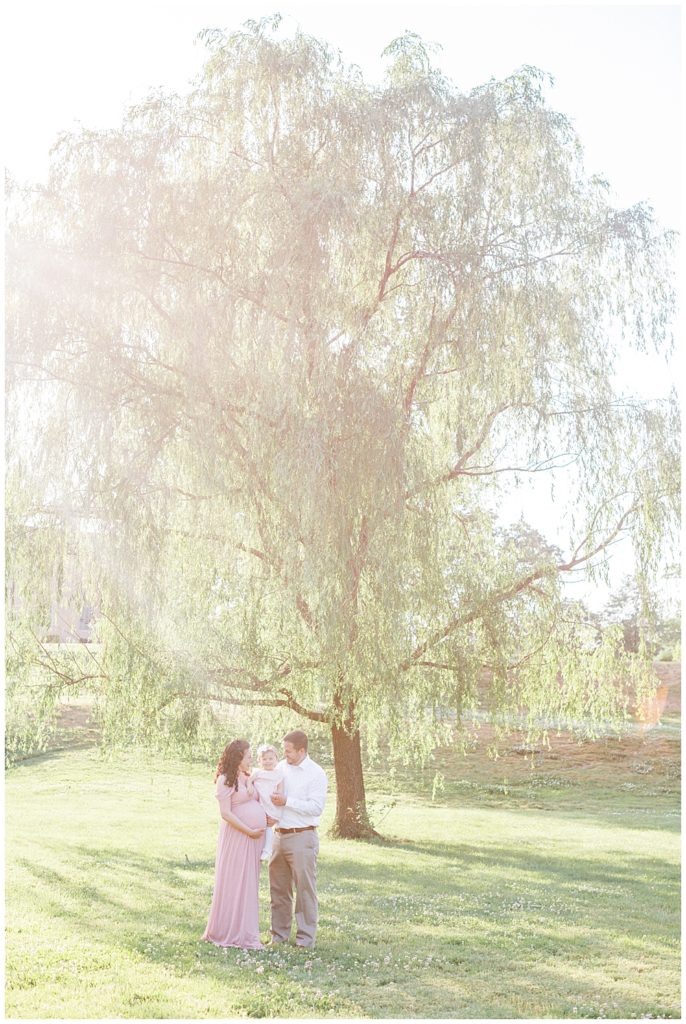 Family Stands Near Willow Tree During Their Maryland Maternity Session