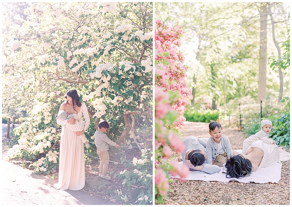 Washington, D.c. Family Photographer | Family Lingers Around Blooms At Brookside Gardens