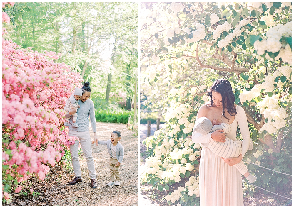 Mother Nurses Her Baby And Father Walks With His Sons In A Garden