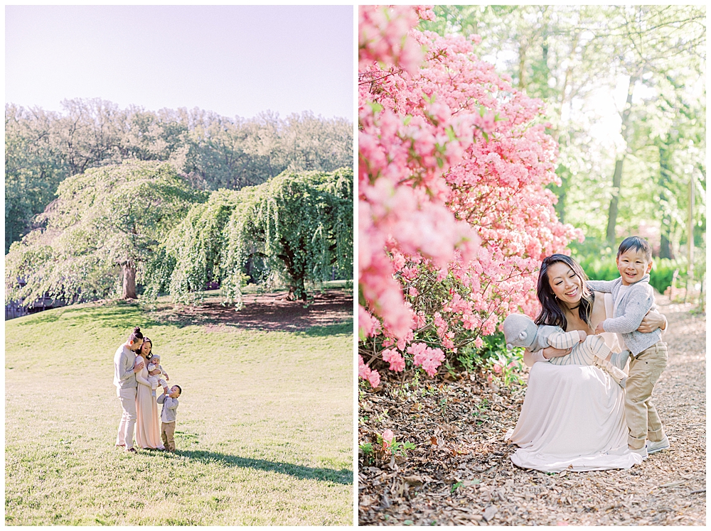 Brookside Gardens Spring Family Photo Session