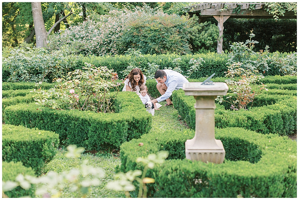 Mother And Father Play With One Year Old In The Gardens At Tudor Place