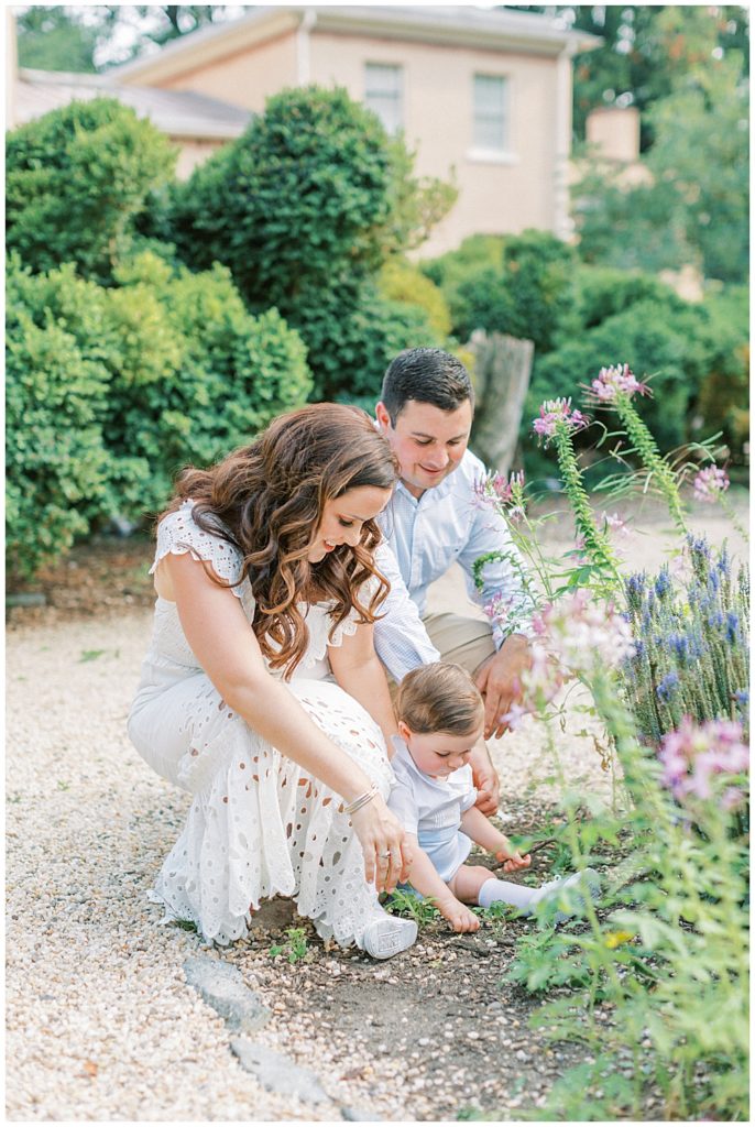 Parents Kneel Down With Their Baby To Look At The Flowers At Tudor Place