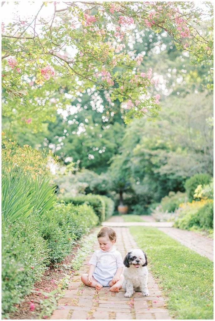 Baby Boy And His Dog Sit On A Brick Path