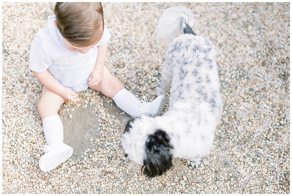 Overhead View Of A One Year Old And His Small Dog Sitting On Small Rocks