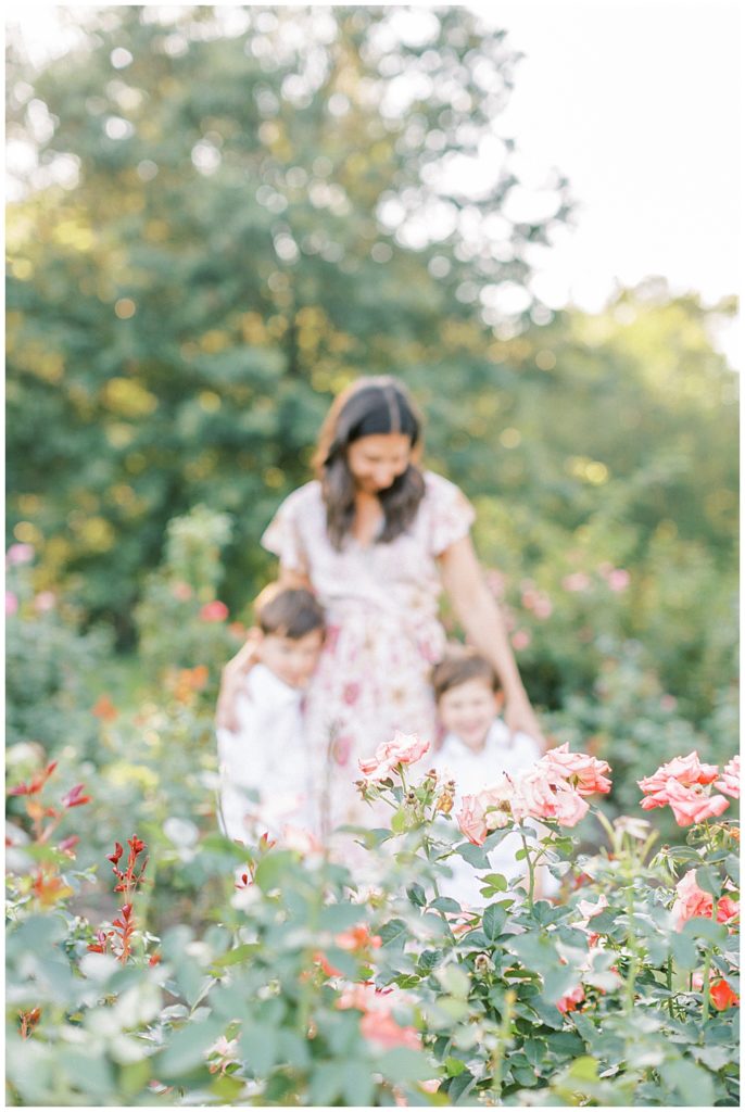 Mother Looks Adoringly At Her Two Sons During Their Family Photos At The Bon Air Rose Garden In Arlington Va