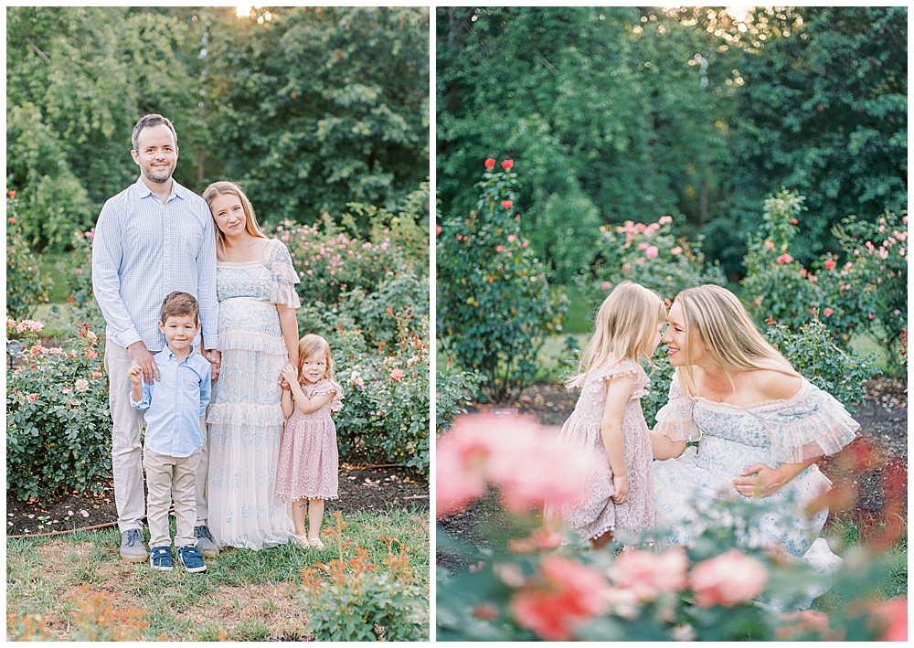 Maternity Session At The Bon Air Rose Garden In Arlington Va