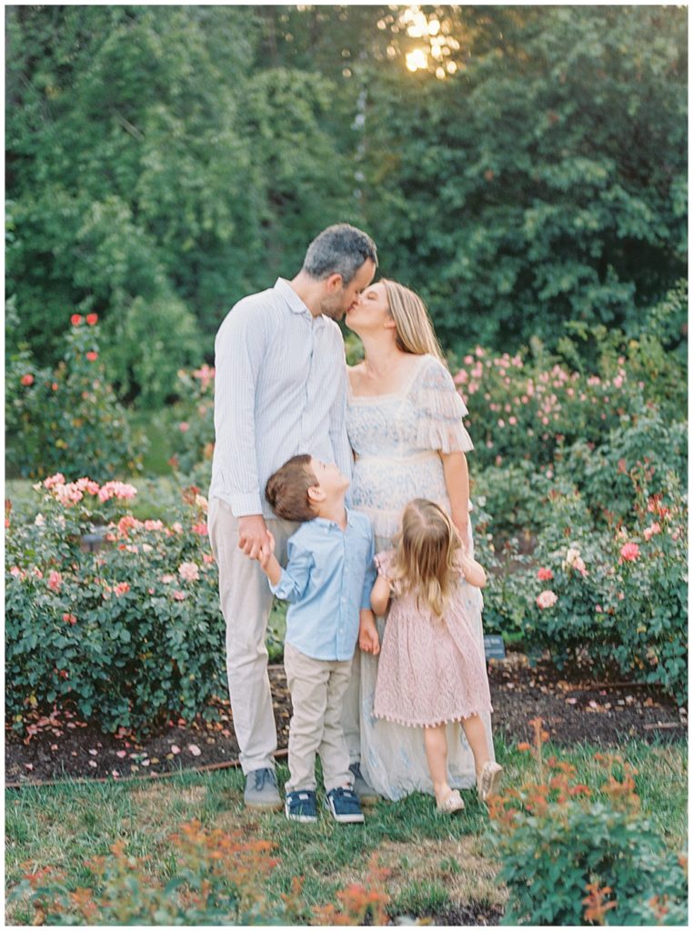 Mother And Father Kiss In The Bon Air Rose Garden