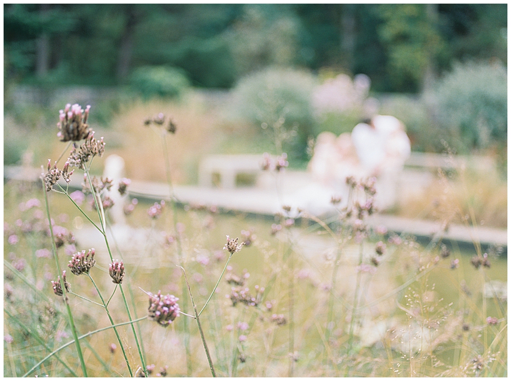 A Family Sits Behind Flowers And A Pond