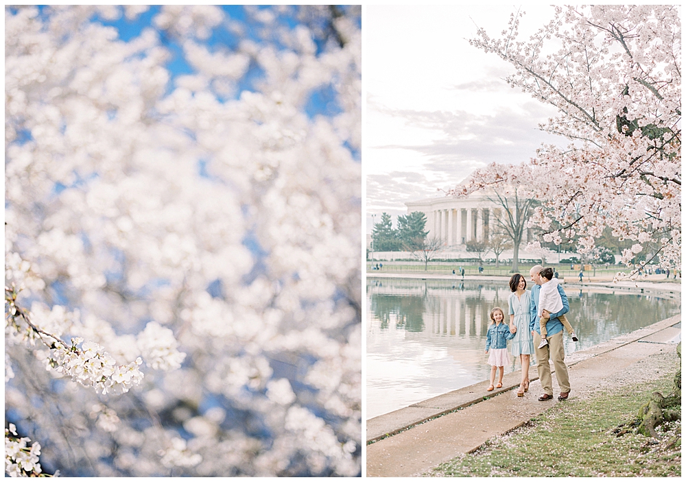 Family Session At The Tidal Basin In Dc