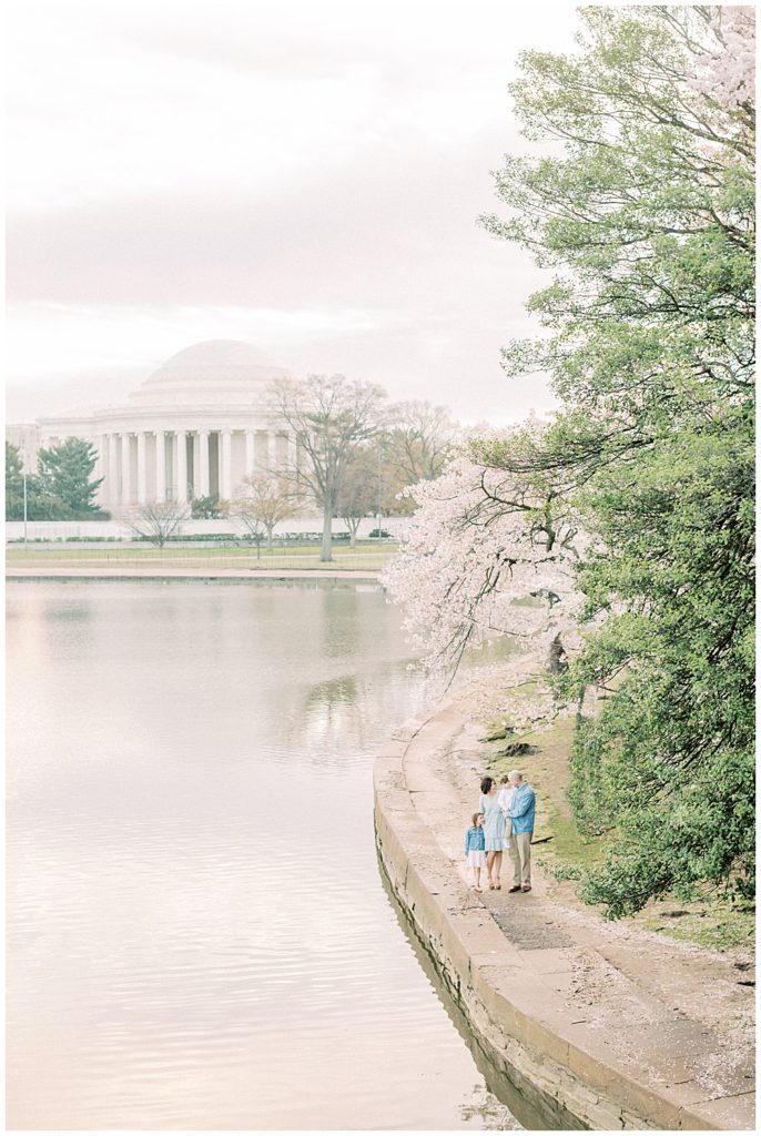 Family Stands Near The Jefferson Memorial During Cherry Blossom Season In Washington Dc