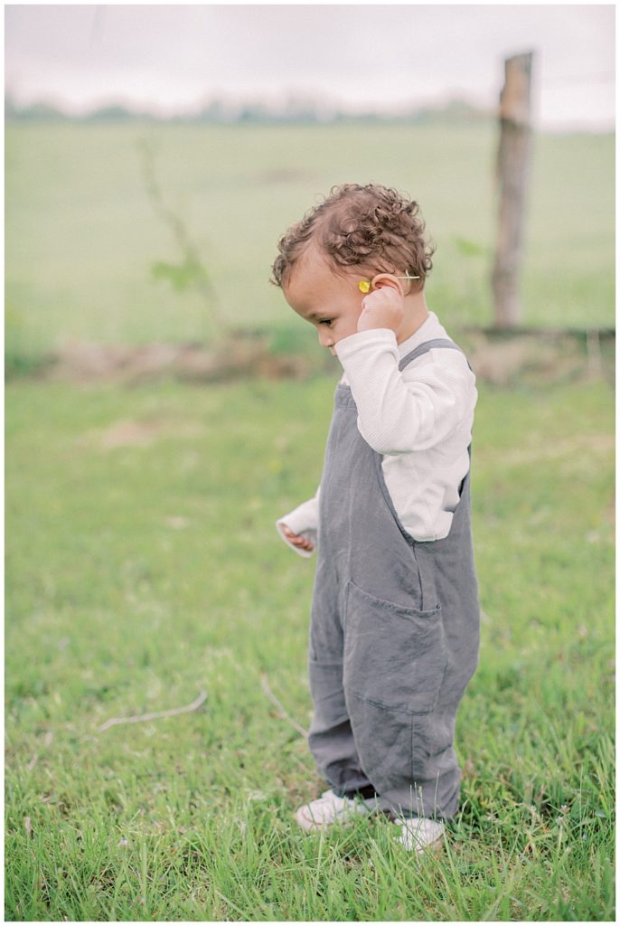 Toddler Boy In Overalls Wears A Buttercup Over His Ear