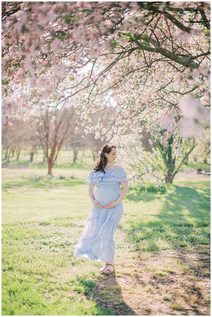 An Expecting Mother Wearing A Blue Dress Stands In The Kwanzan Cherry Blossom Trees At The National Arboretum