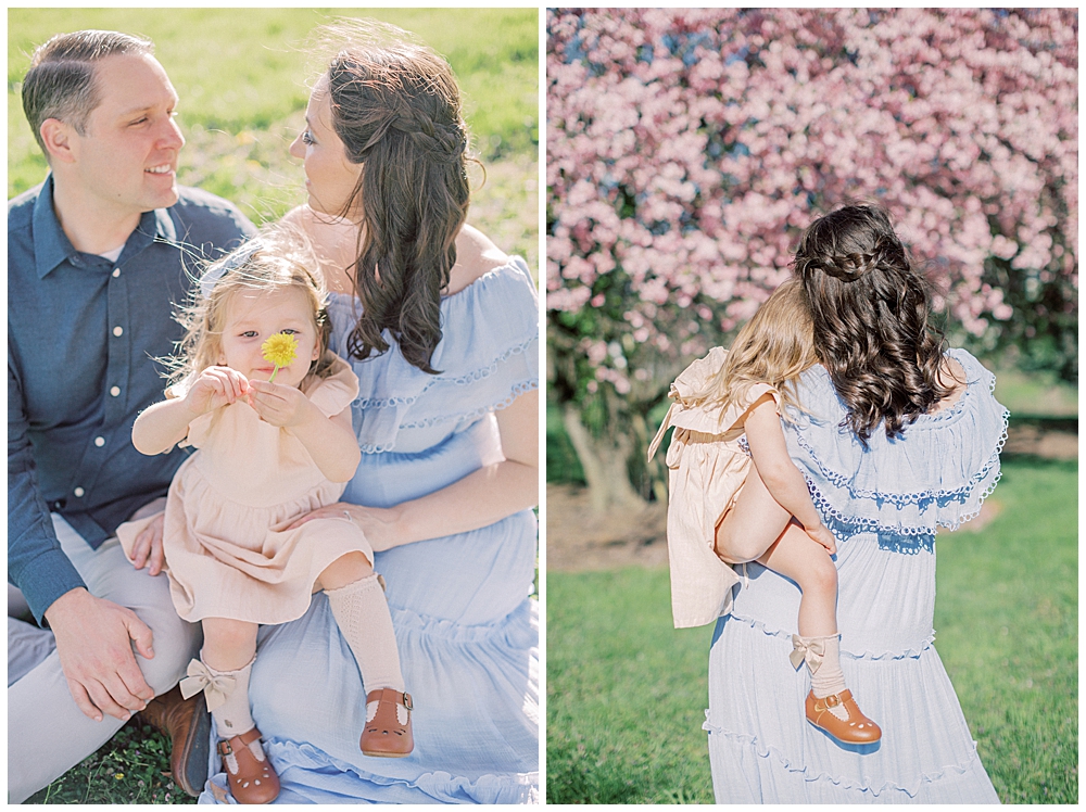 A Family Takes Pictures By The Cherry Blossom Trees At The National Arboretum