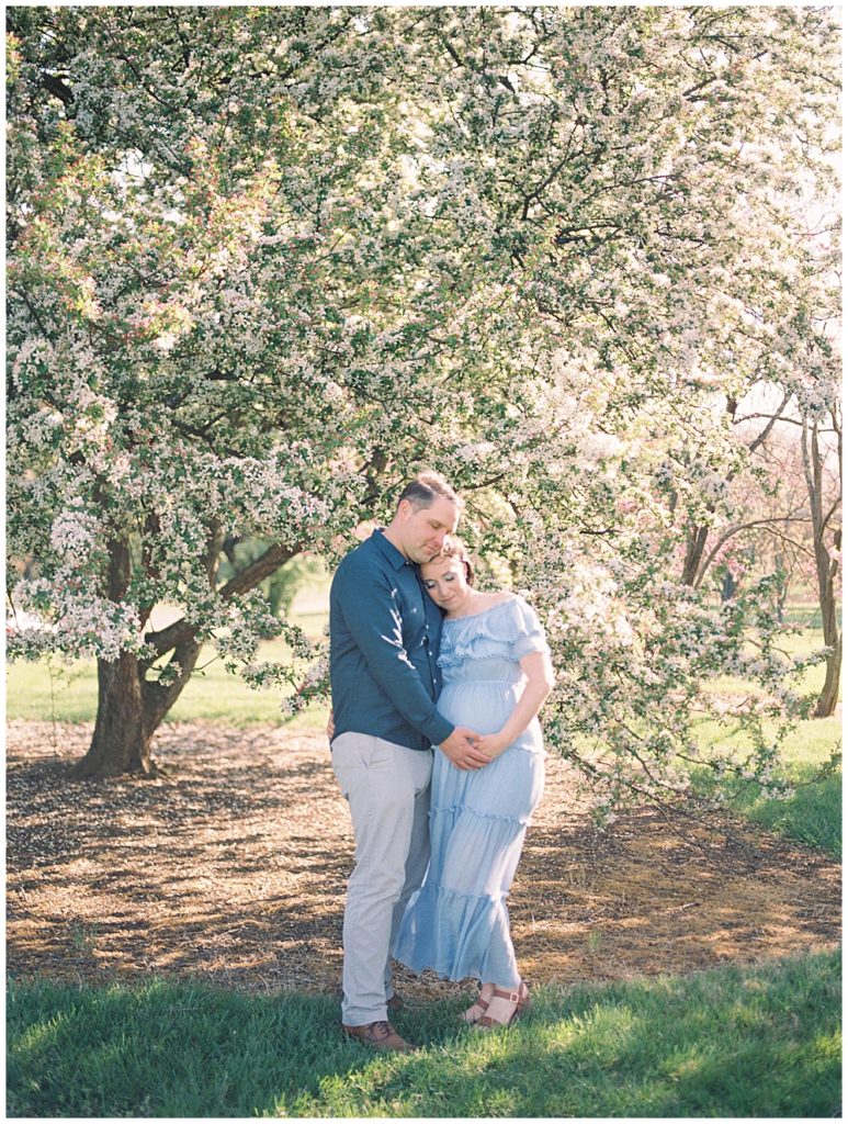 Expecting Parents Stand In Front Of A White Cherry Tree At The National Arboretum