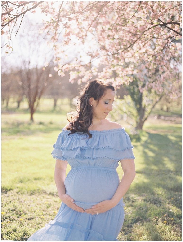 Pregnant Mom Stands Below A Pink Cherry Blossom Tree At The National Arboretum While Wearing A Blue Dress