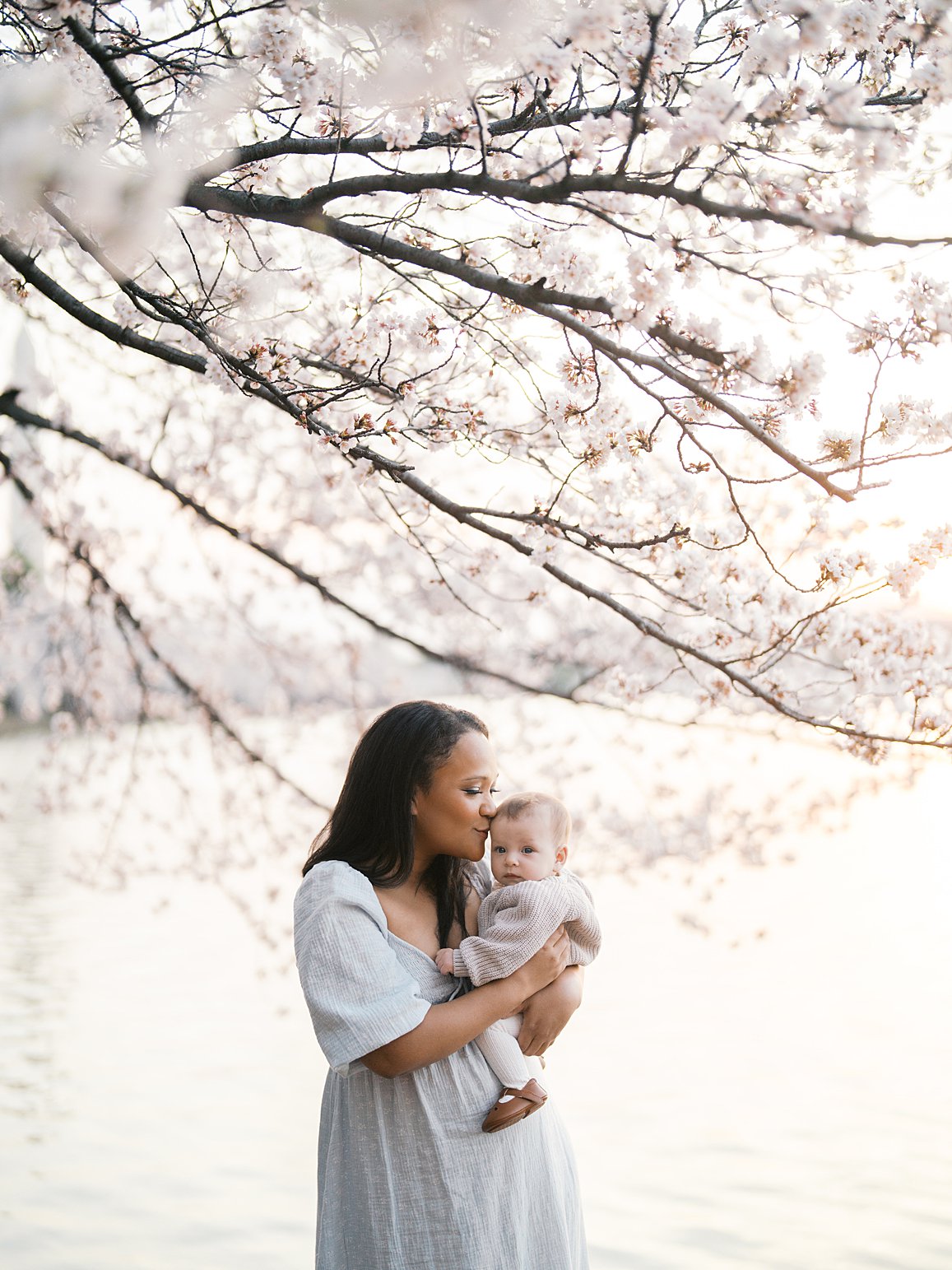 Tidal Basin Cherry Blossoms Family Photos 0001 Motherhood Studio Session