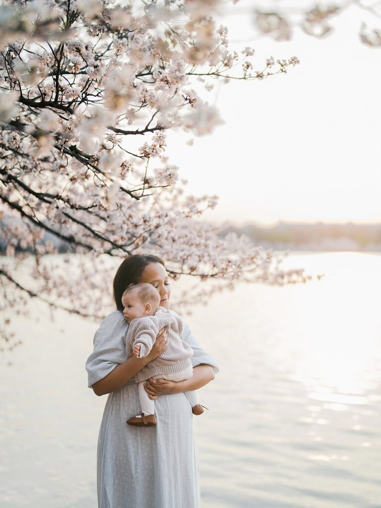 A Mother Holds Her Baby Up To Look At Her Against A Shimmering Tidal Basin Cherry Blossoms Backdrop, The Water And Soft Pink Blooms Glowing In The Early Morning Light.