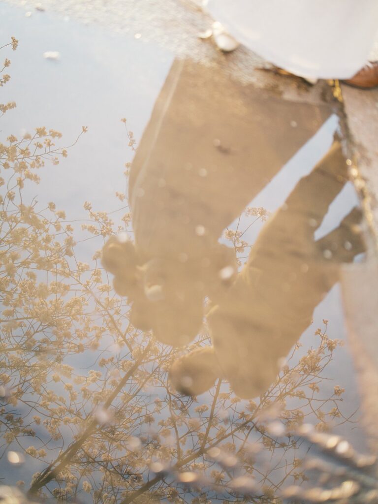 A Dreamy Reflection Of A Mother In A White Dress And Cherry Blossom Branches Mirrored In A Puddle Along The Tidal Basin, Fallen Petals Floating On The Surface.