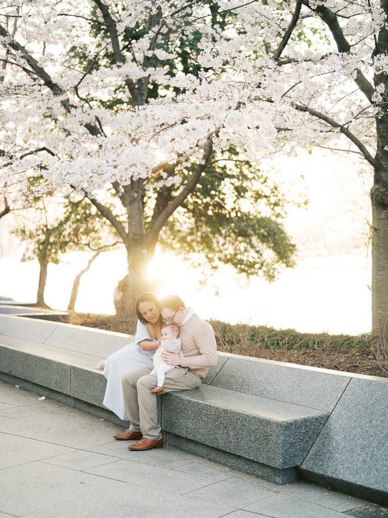 A Couple Sits Together On Stone Steps, Nestled Under A Canopy Of Tidal Basin Cherry Blossoms With Golden Sunlight Streaming Through The Branches Around Them.