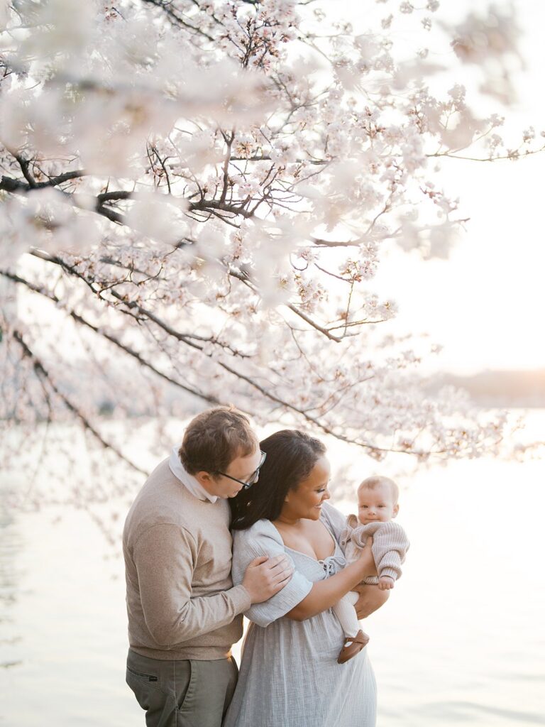 A Family Of Three Stands Together Along The Tidal Basin, Cherry Blossoms Cascading Overhead As Parents Lean In Toward Their Baby In The Warm Evening Light.