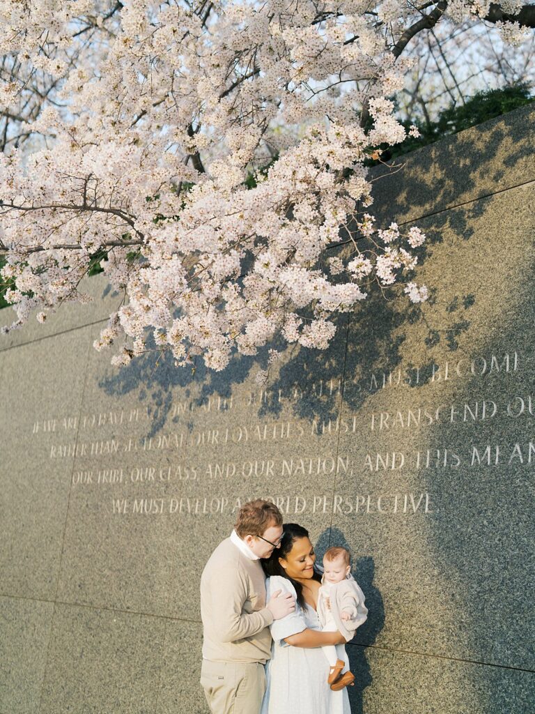 A Family Of Three Cuddles Together Beneath A Cascade Of Tidal Basin Cherry Blossoms, The Mlk Memorial Inscription Visible On The Wall Behind Them.