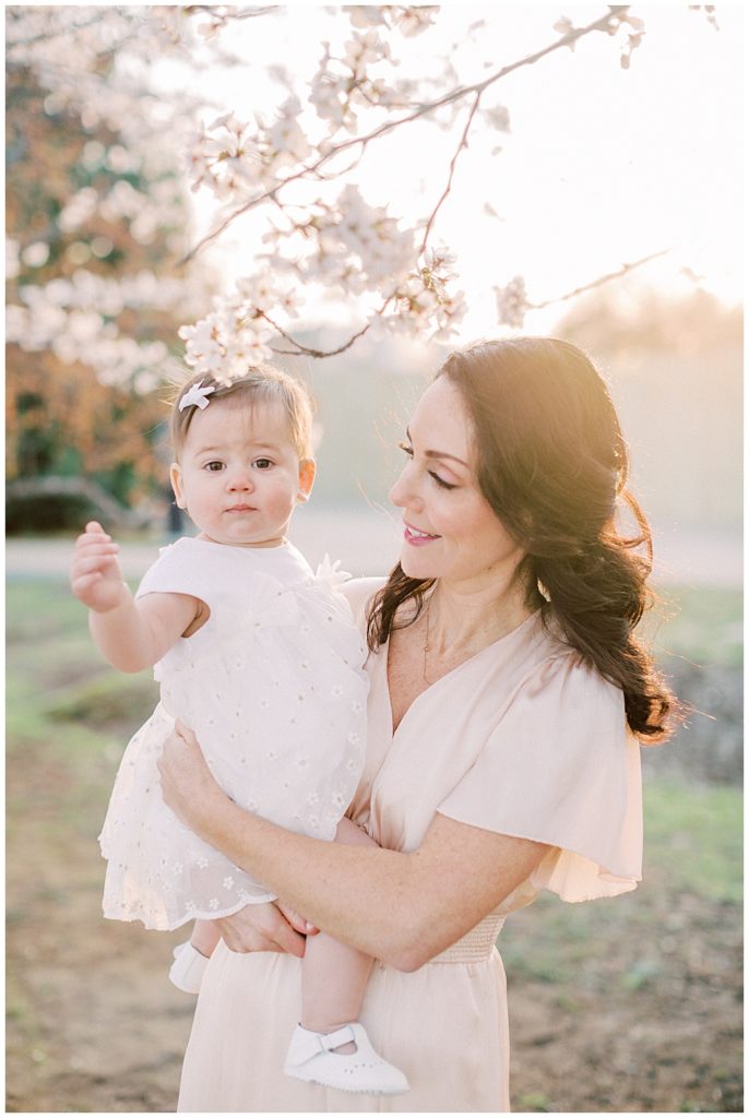 A Mother Holds Her Infant Daughter Up To The Cherry Blossoms In Washington Dc At Sunrise