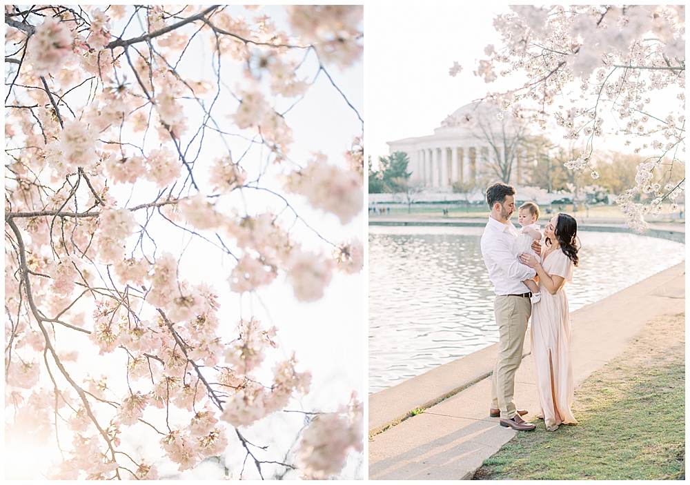 A Man And Woman Hold Their One Year Old Daughter Along The Tidal Basin During Peak Cherry Blossom Season In Dc