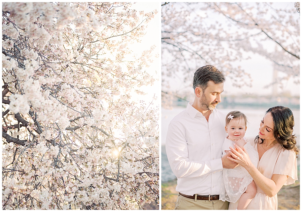 A Young Family Stands In The Cherry Blossom Trees Along The Tidal Basin In Washington Dc