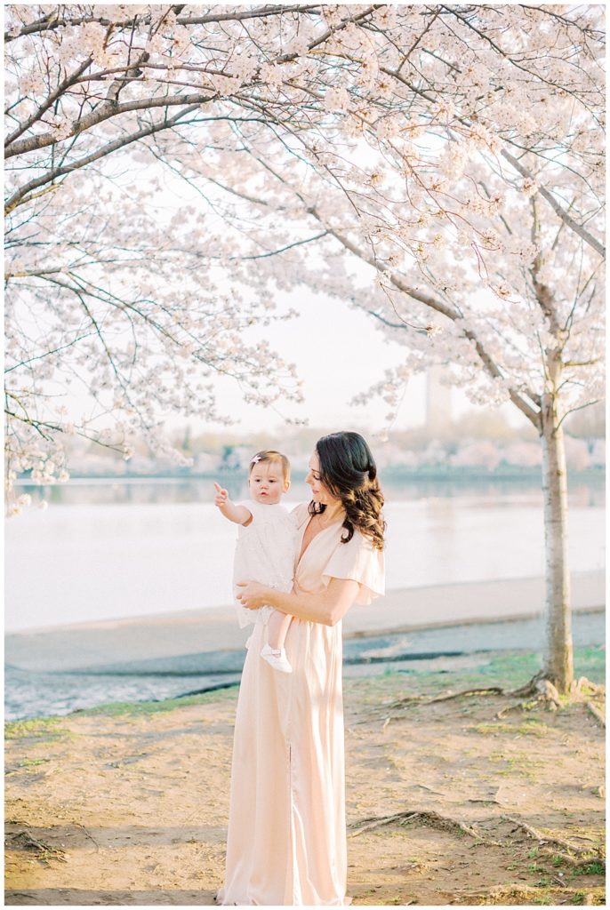 A Mother Holds Her Baby Daughter Up To The Cherry Blossom Trees Along The Tidal Basin During Their Tidal Basin Cherry Blossom Family Session