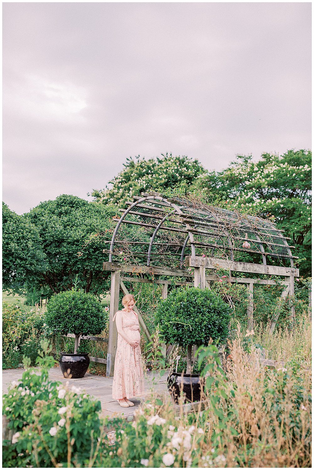 Pregnant Mother In Pink Zimmerman Dress Stands Under Floral Arch With Hands On Her Belly At The National Arboretum.