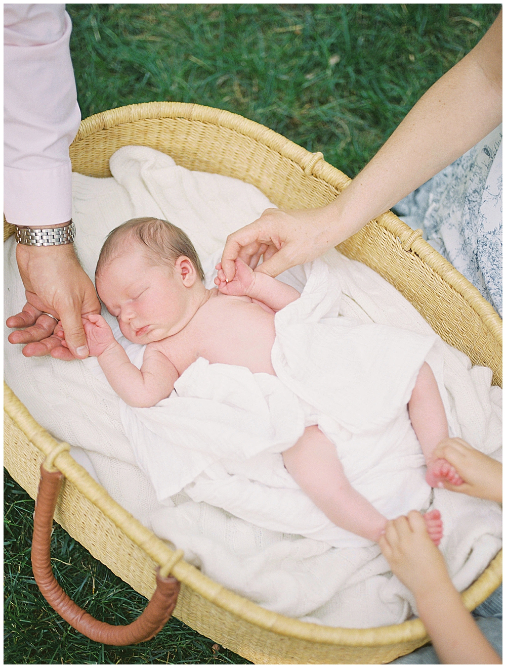 Family Members Hold Hands And Feet Of Newborn Girl While She Lays In A Moses Basket During Her Outdoor Studio Newborn Session