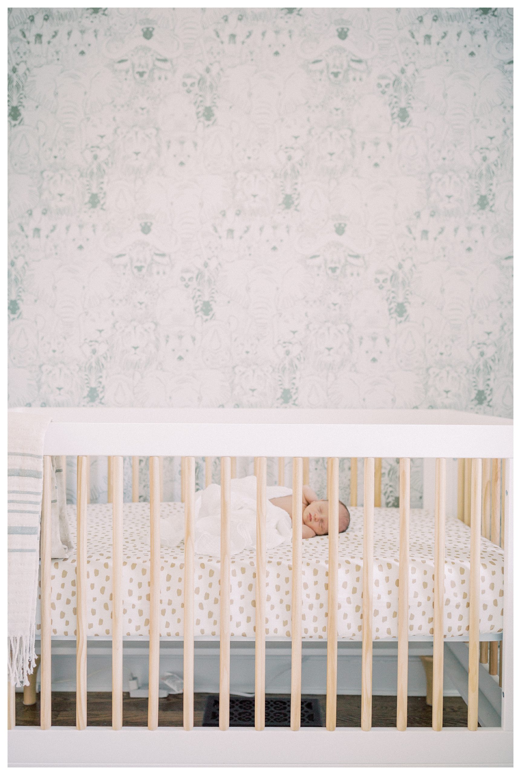 Newborn Baby Boy Lays In His Crib In An Animal-Themed Nursery.