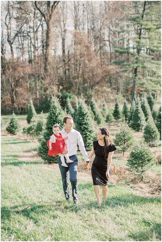 Mother And Father Walk With Their Infant Daughter At Christmas Tree Farm.